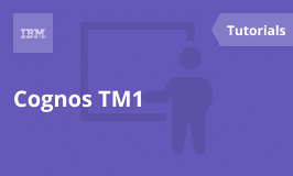 Cognos TM1